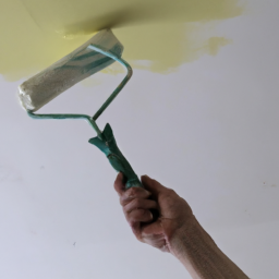 Transformez votre maison avec notre service de peinture-décoration Prades